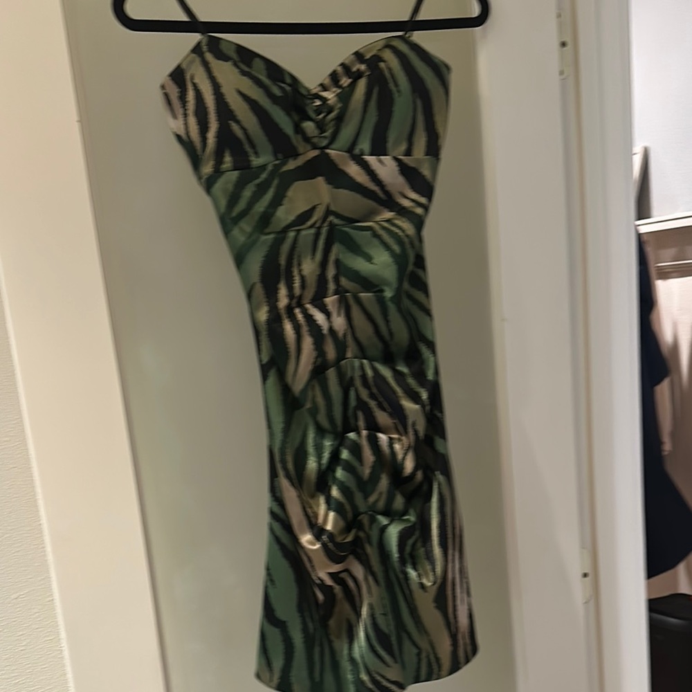Green Zebra Print Dress